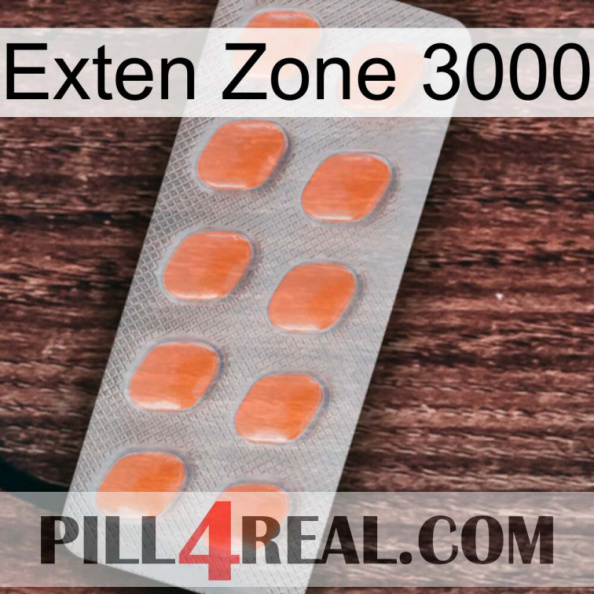 Exten Zone 3000 26.jpg